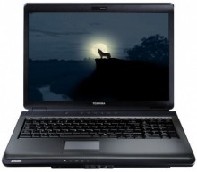 Toshiba Satellite L350-22R (PSLD8E-0S4032RU) {T3000 / 3G / 320G / DVD-SM / 17"WXGA / WiFi / cam / VHP}